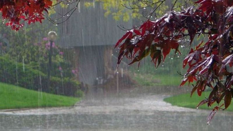 Heavy rain in these 10 districts.. meteorological center