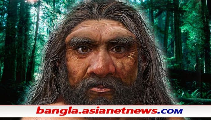 'ড্রাগন ম্যান' - বদলে দিল মানব বিবর্তনের ইতিহাস, খোঁজ মিলল সবচেয়ে কাছের পূর্বপুরুষের