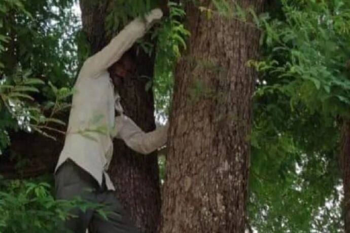 वैक्सीन लगवाने पहुंची पत्नी, तो आधार कार्ड लेकर पेड़ पर चढ़ गया पति..डोज खत्म होने के बाद आया नीचे