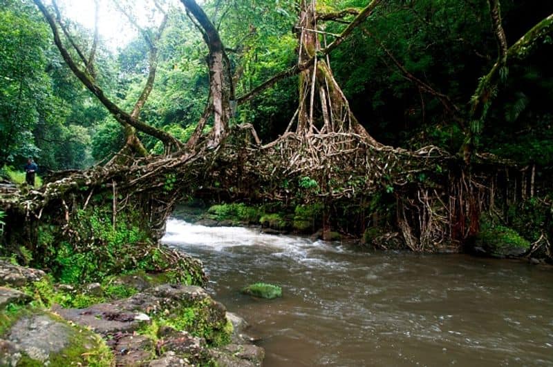 Mawlynnong village known for its cleanliness