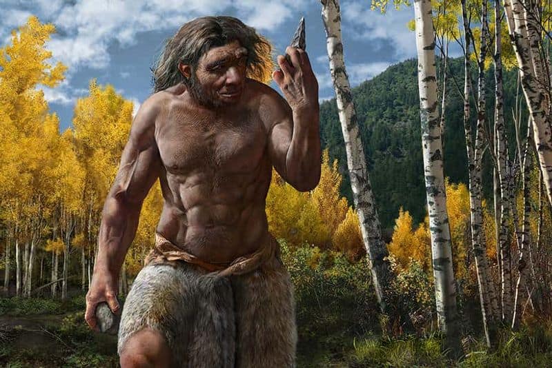 Dragon man claimed as new species of ancient human but doubts remain