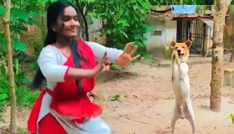 Dog dancing to classical number sets internet on fire; watch adorable video-tgy