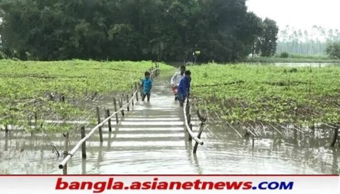 প্রবল বর্ষণে ভয়াবহ ক্ষতির মুখে চাষের জমি, সরকারের 'কৃষি বীমা'-র আশায় অসহায় কৃষকরা