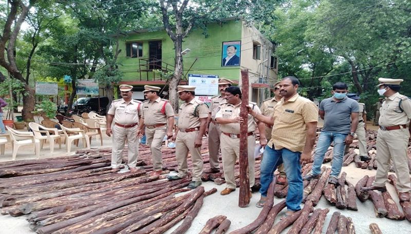 Task force finds huge red sandalwood dump in Chittoor - bsb