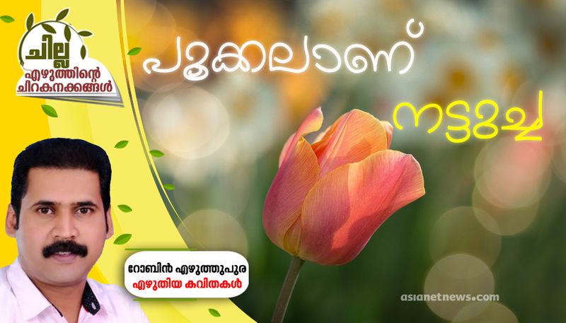 chilla malayalam poem by Robin Ezhuthupura