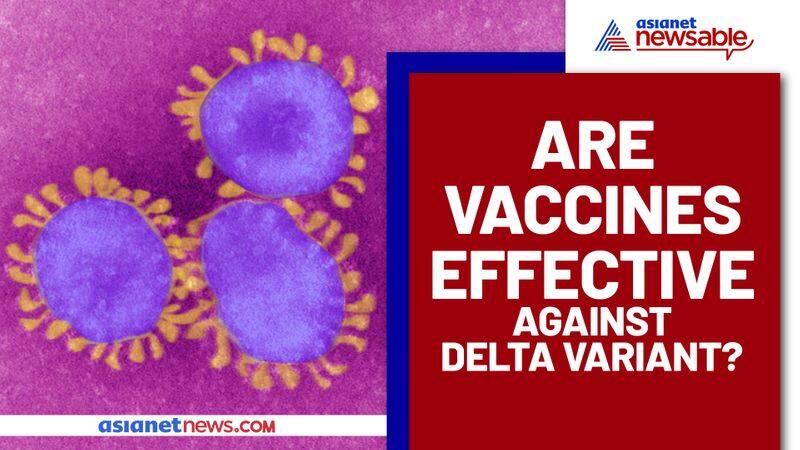 Expert Advice: Are vaccines effective against Delta variant? - vpn