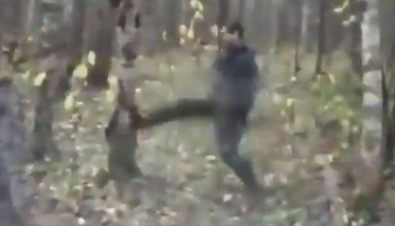 Man hits tree continuously, tastes fruit of karma in the end; Watch viral video - gps