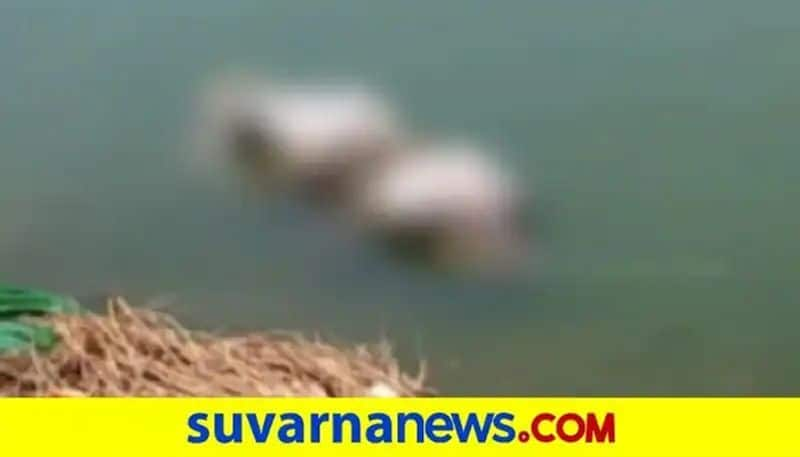 Two Girls Dies Due to Fallen in to The Pond at Kanakagiri in Koppal grg