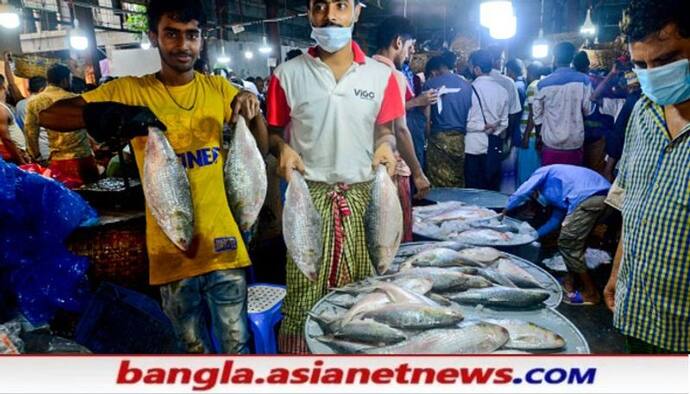 ইচ্ছে হলেই ইলিশ ? পকেটে টান পাবদায়, জামাইষষষ্ঠীর বাজারে মাছ থেকে মিষ্টিতে দামের আগুন