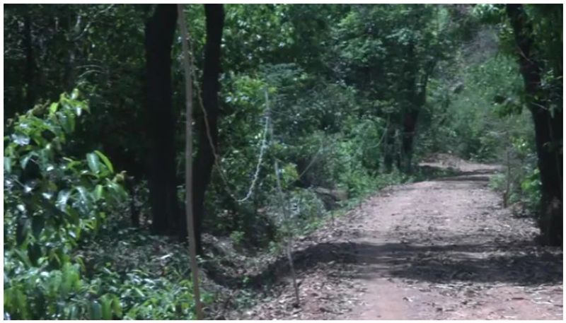 before ten years is barren land and now green forest