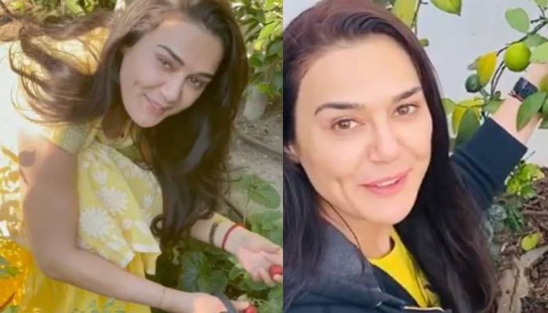 Preity Zinta s kitchen garden video viral