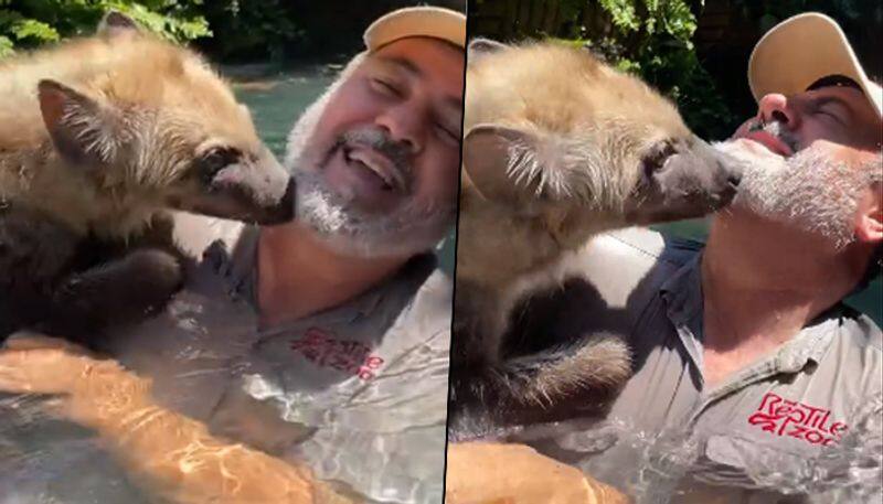 Watch Hyena showering kisses on zookeeper; viral video - gps