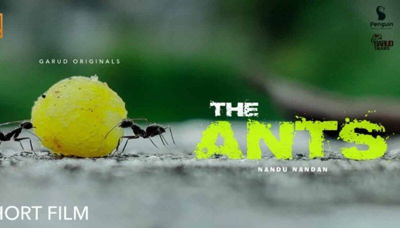 the ants short film