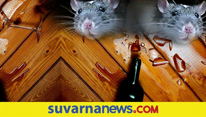 Rats empty wine from 12 closed bottles kept in liquor outlet mah