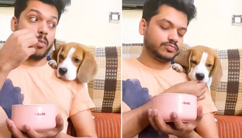 Mans 'who did it better' challenge with his pet beagle; adorable video will make your day-tgy