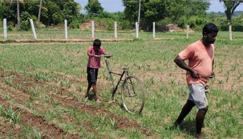 this farmer turned bicycle Into plough