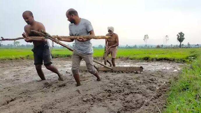 एक के पास बीएससी की डिग्री-दूसरा MSW से ग्रेजुएट, लेकिन स्थिति ऐसी कि बैलों की जगह खुद कर रहे जुताई