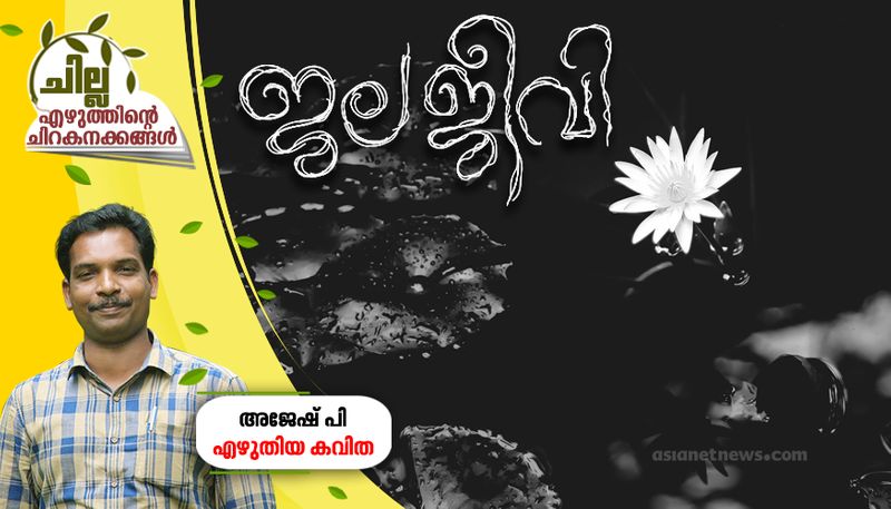 chilla malayalam poem by Ajesh P