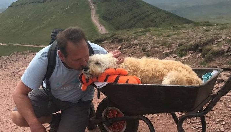 heart melting story of a friendship btw a man and his dog