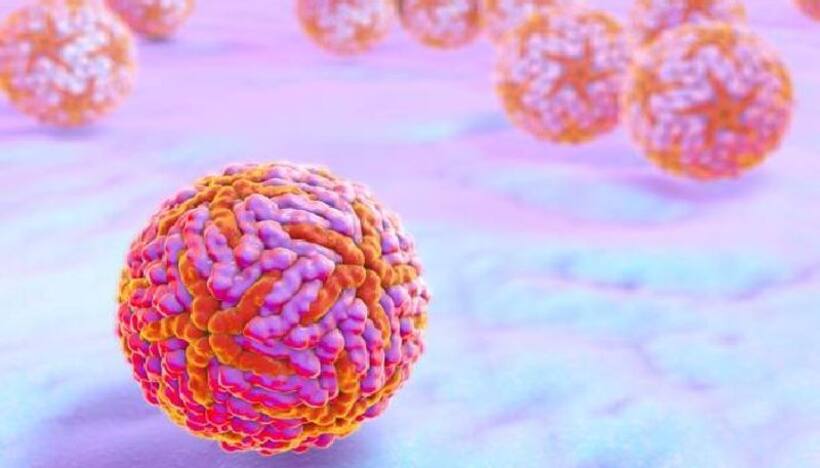Kerala reports 3 fresh case of Zika Virus; Tamil Nadu intensifies checking at borders