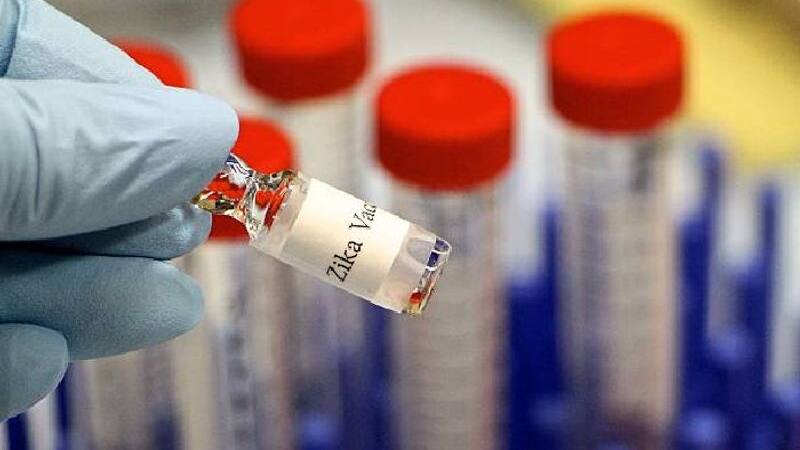 Zika Virus 4