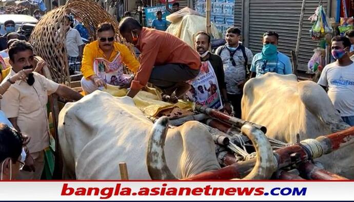 পেট্রোপণ্যের মূল্যবৃদ্ধি নিয়ে অভিনব প্রতিবাদ মদন মিত্রর, গরুর গাড়ি চড়লেন বিধায়ক