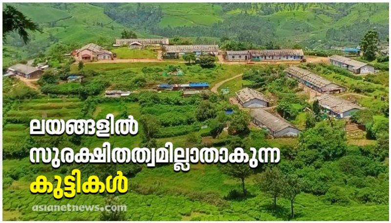 idukki insecured childrens in idukki thottam plantation