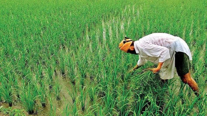 Good News: प्रधानमंत्री फसल बीमा योजना की लास्ट डेट बढ़ी, 23 जुलाई तक कर सकते हैं आवेदन