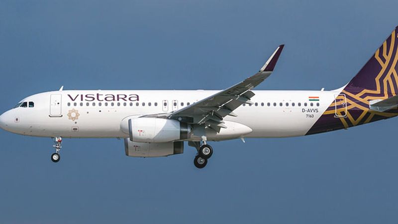 Stray dog enters Goa airport runway Forces Vistara Flight To Return To Bengaluru ksm