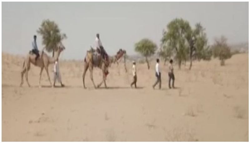 teachers travelled on camel for students education