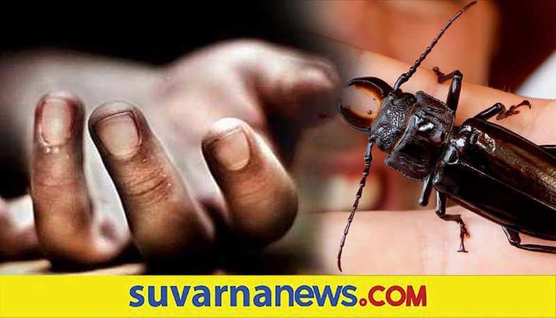 Child in Kerala Dies as Beetle Gets Stuck in Trachea dpl