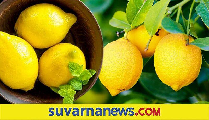 Tips on how you can store lemons fresh for longer