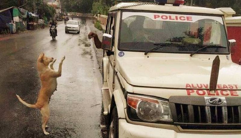 kerala police caption competition for a picture of a street dog