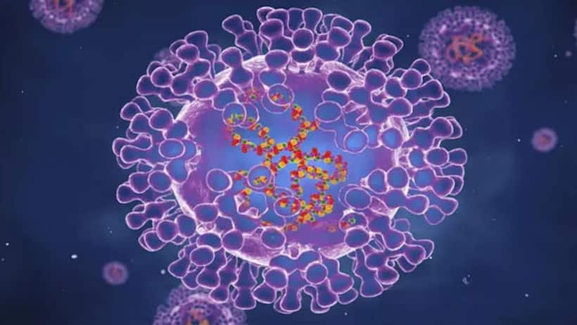 Monkeypox: BMC sets up 28 bed isolation ward