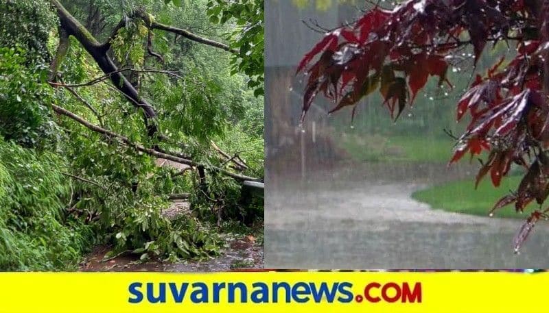 Incessant Rain lashes Malnad And Coastal Karnataka snr