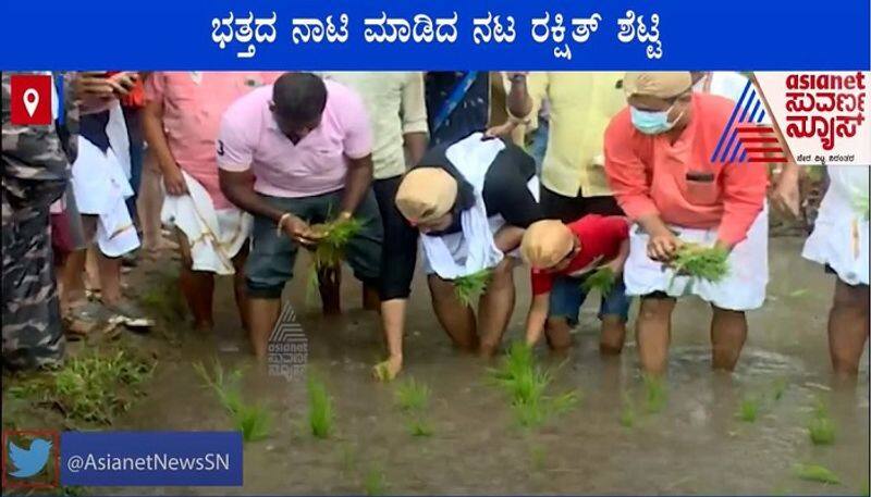 Kannada Actor rakshit shetty planted paddy udupi brahmavara mah