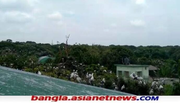 লকডাউনে নেই পর্যটক,  রায়গঞ্জের পক্ষীনিবাসে গান ধরেছে ১৬৪ প্রজাতির পরিযায়ী পাখিরা