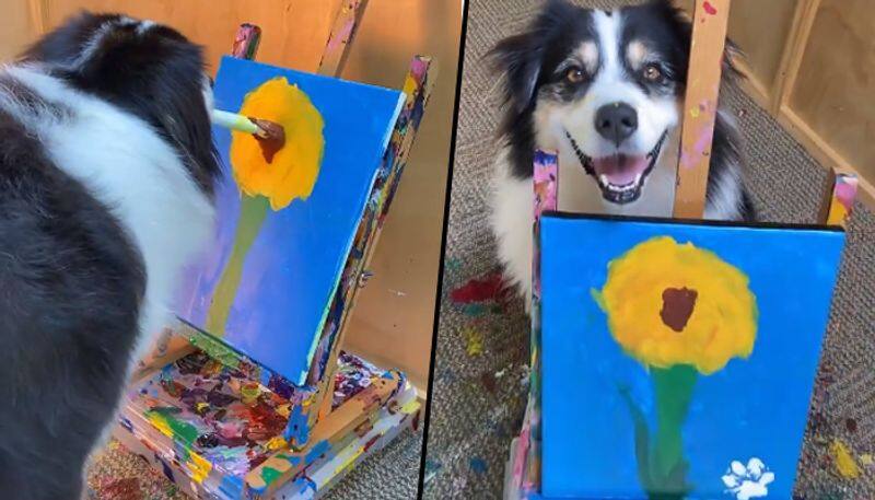 Dog paints flowers on canvas using brush; adorable video will make your day - gps