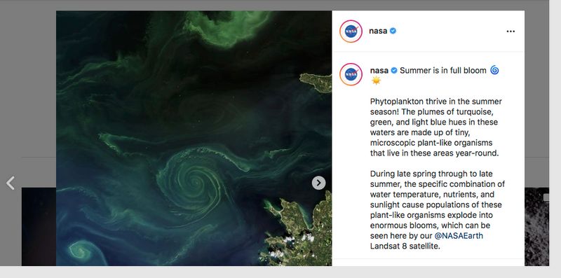 Nasa Instagram phytoplankton Baltic sea gcw