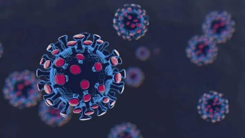 Delta variant spread to 132 countries as COVID-19 infections rise, warns WHO