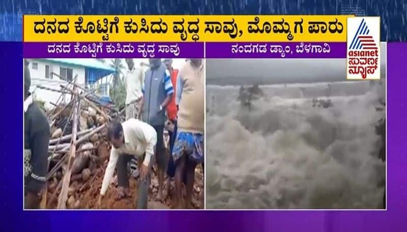 Heavy Rain in Chikkamagalur Old Man Feeding Cattle Dies As Cow Shed Collapses mah