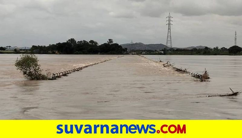 youth rescued buffalo in belagavi floods snr