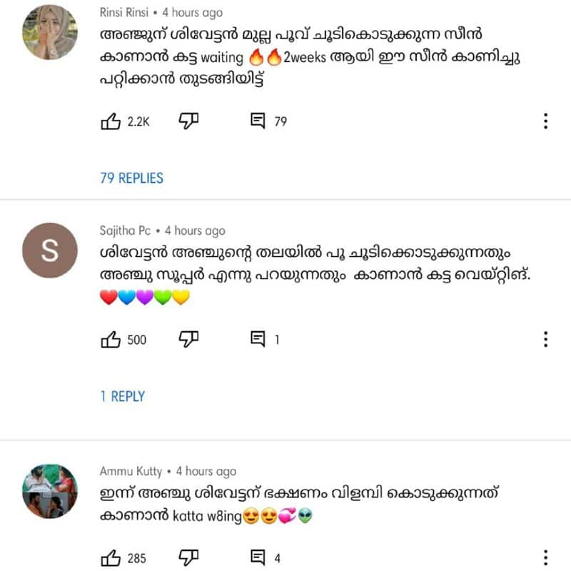 santhwanam fangirl comment got viral  malayalam popular serial episode review