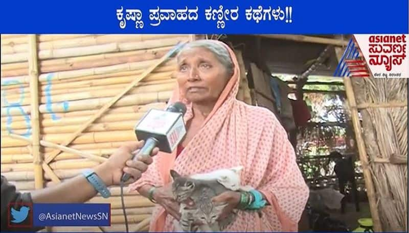 Belagavi Woman s Love For Pets Rescues Cat  Kittens mah