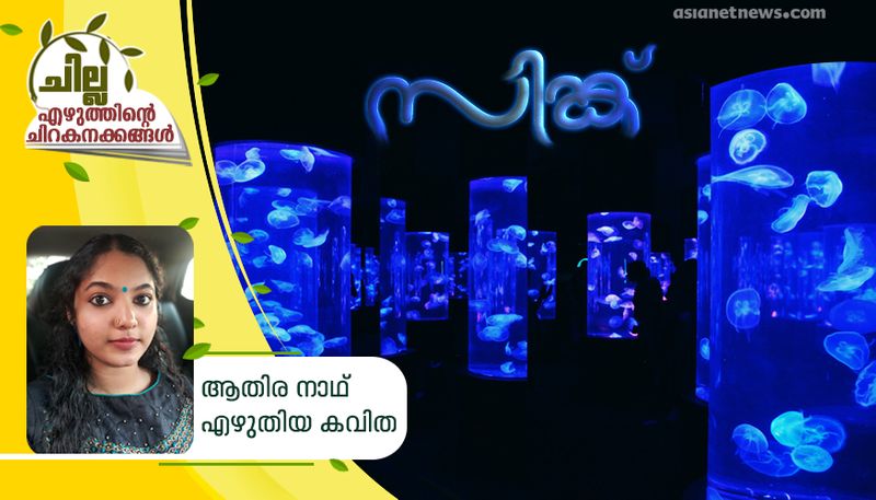 chilla malayalam poem by  Athira Nath