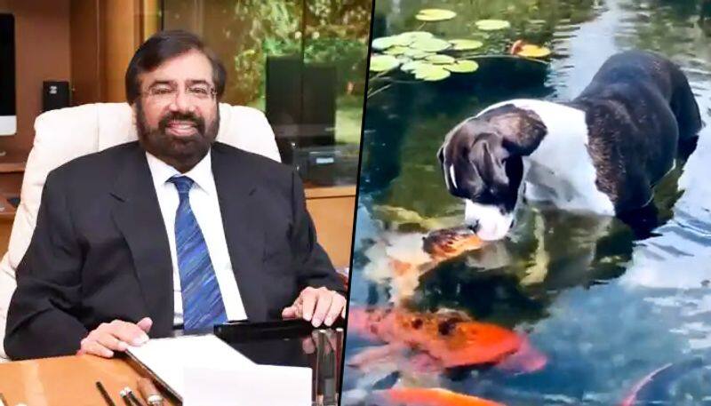 Harsh Goenka shares viral video featuring dog and fish friendship( Watch) - gps