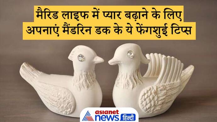 बेडरूम में रखें मैंडरिन डक का जोड़ा, इससे पति-पत्नी में बढ़ता है प्रेम और खत्म हो सकते हैं विवाद