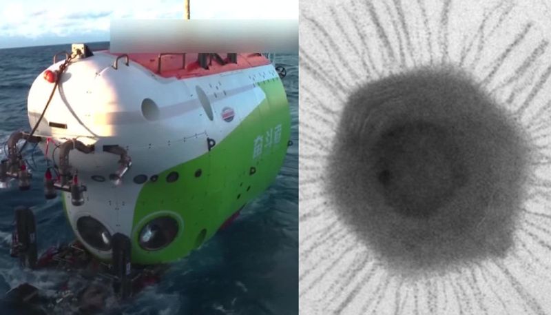 15 different types of viruses including mimivirus and more than 100 kinds of microorganisms found from deepest place on earth Challenger Deep by China scientists