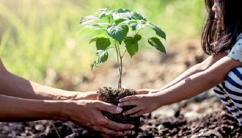 Minister sekar babu speech about Gold coins will be given on the kalaignar birthday next year to those who maintain the saplings properly 