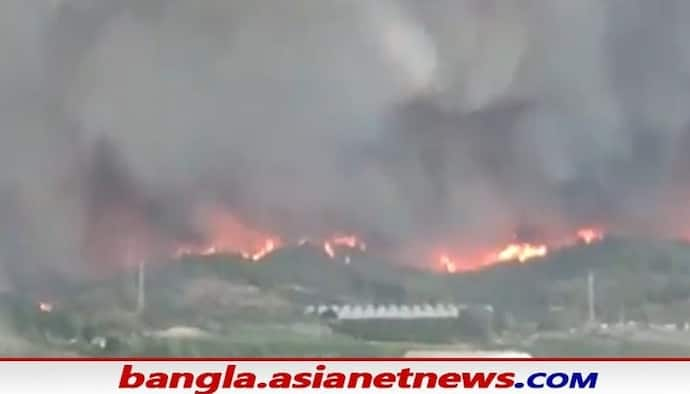 ২ দিনের দাবানলের গ্রাসে উজাড় তুরস্কের গ্রাম থেকে শহর, দেখুন সেই ভয়ঙ্কর ভিডিওটি